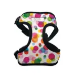 Personalised Pet Harness - Confetti