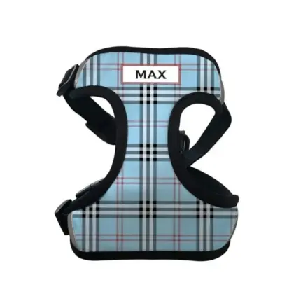 Personalised Pet Harness - Furberry, Blue