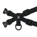 Personalised Pet Harness - Furberry, Blue