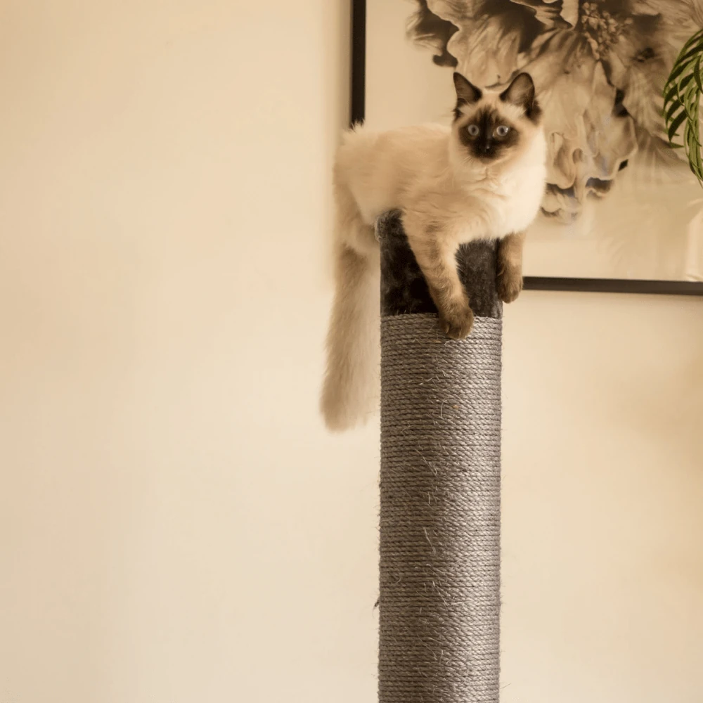 kazoo-cat-scratcher-cat-scratching-post-large-36263956971739_2000x Cat Scratching Post, Charcoal