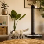 Cat Scratching Post, Charcoal
