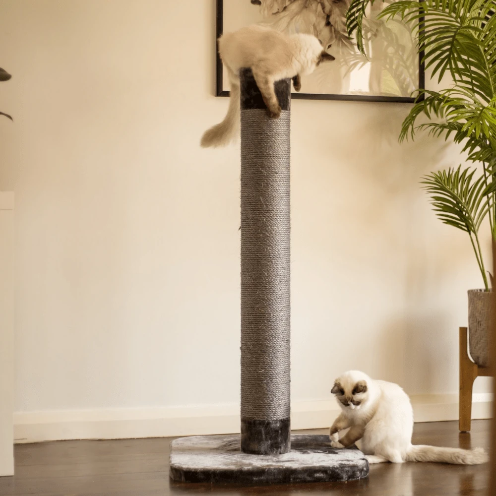 kazoo-cat-scratcher-cat-scratching-post-large-36263983874267_2000x Cat Scratching Post, Charcoal