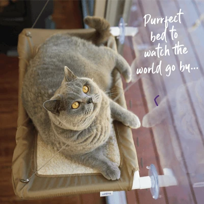 kazoo-pet-bed-the-lookout-deluxe-window-cat-bed-28478602608839_400x The Lookout Deluxe Window Cat Bed