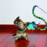 KONG Cat Toy - Curlz Teaser
