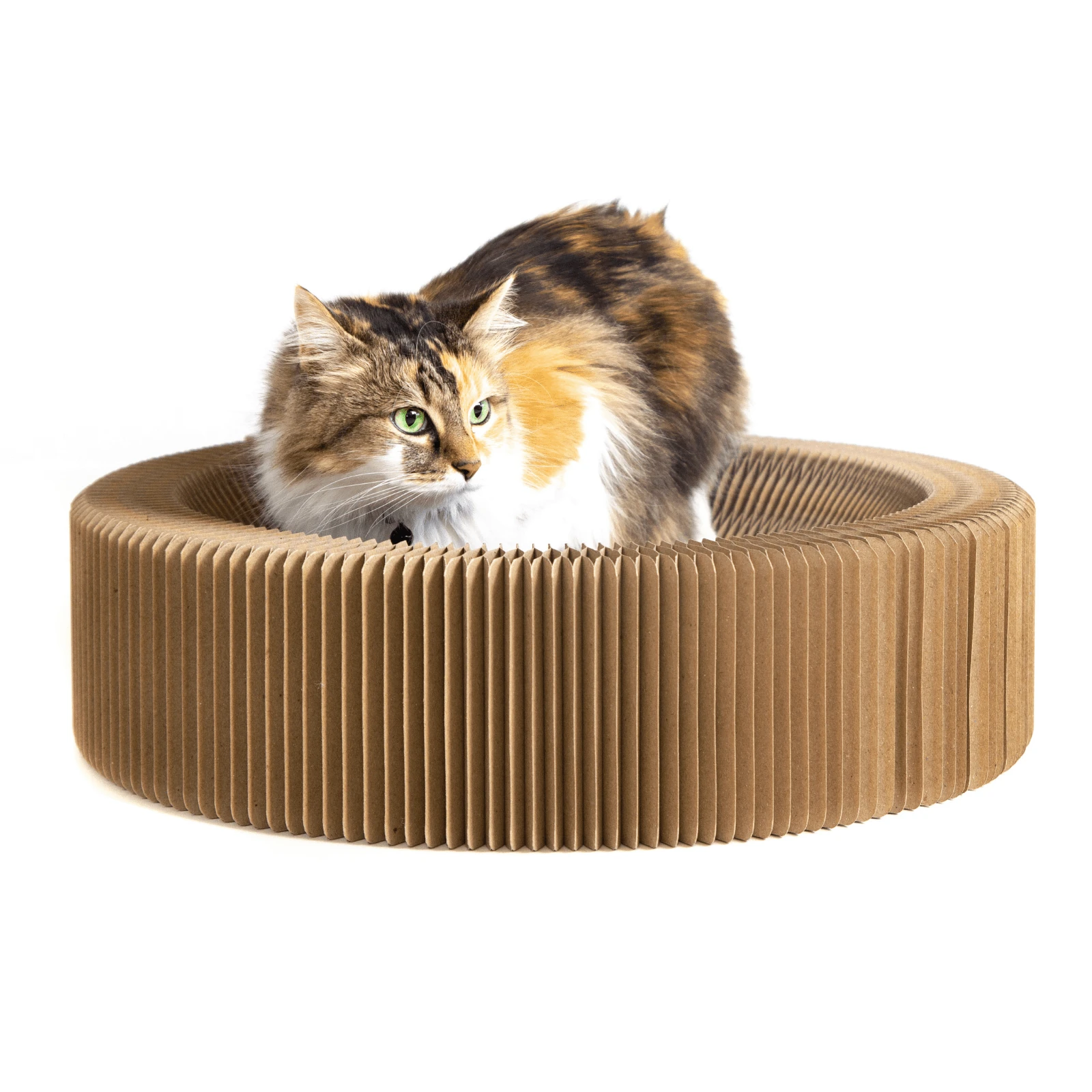 licensed dog beds eofy cat scratcher comparison