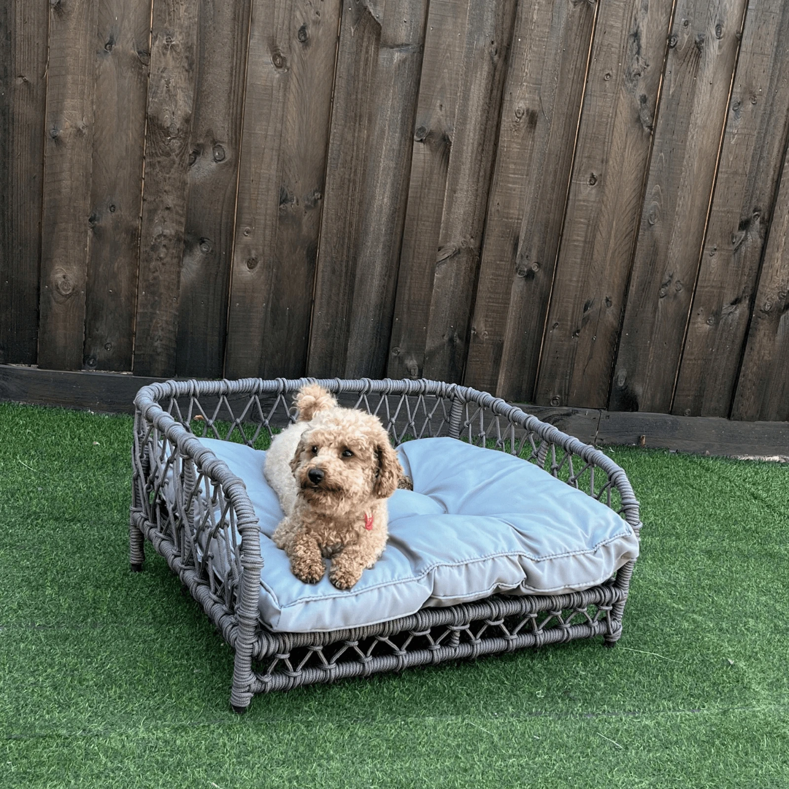 modern-pets-dog-bed-jacob-outdoor-wicker-rope-elevated-dog-bed-36685618938075_2000x Jacob Outdoor Wicker Rope Elevated Dog Bed, Grey