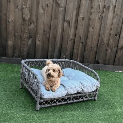 modern-pets-dog-bed-jacob-outdoor-wicker-rope-elevated-dog-bed-36685618938075_400x Jacob Outdoor Wicker Rope Elevated Dog Bed, Grey