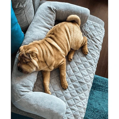 modern-pets-pet-bed-quilted-pet-sofa-cover-31975090061511_400x Quilted Pet Sofa Cover