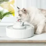 Ceramic Pet Water Fountain