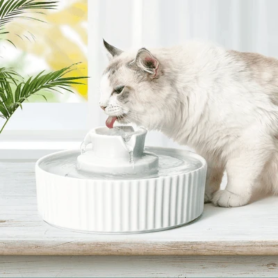 modern-pets-pet-fountain-ceramic-cat-water-fountain-34506374054107_400x Ceramic Pet Water Fountain