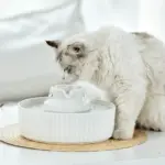 Ceramic Pet Water Fountain