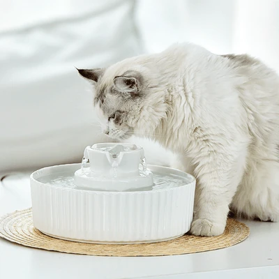 modern-pets-pet-fountain-ceramic-pet-water-fountain-34506409214171_400x Ceramic Pet Water Fountain