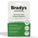 ant free dog bowl - Professional Guide and Review