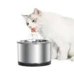 Petwant Stainless Steel Cat Water Fountain