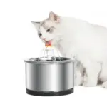 Petwant Stainless Steel Cat Water Fountain