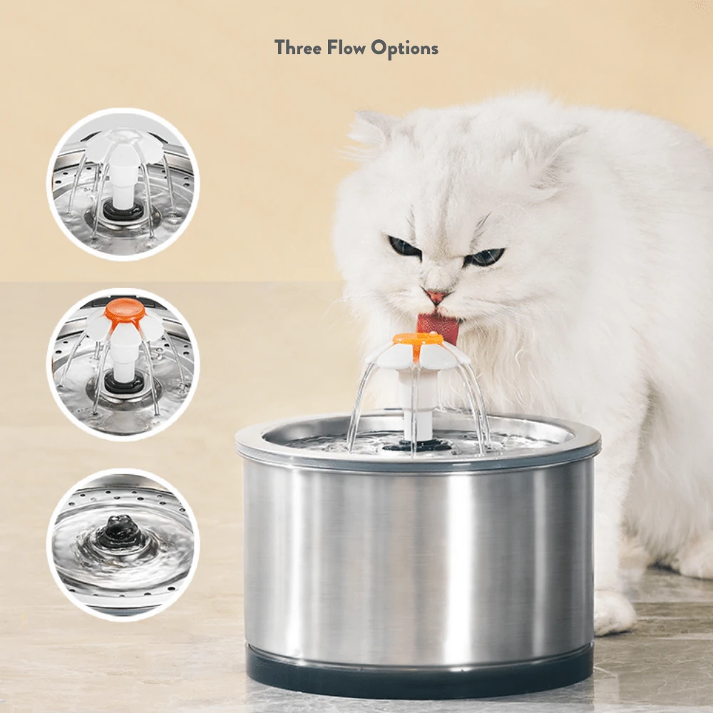 petwant-pet-fountain-petwant-stainless-steel-cat-water-fountain-34592175358171_2000x Petwant Stainless Steel Cat Water Fountain