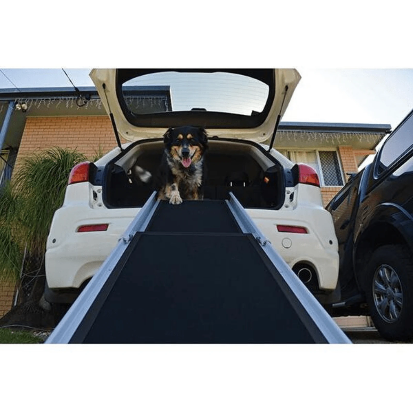 product_image_1761113089 Zeez Telescopic Dog Ramp, Black