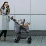 Ibiyaya Cloud 9 Pet Stroller for Dogs & Cats, Mint Green