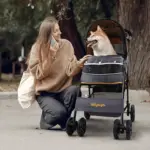 Ibiyaya Cloud 9 Pet Stroller for Dogs & Cats, Mustard Yellow