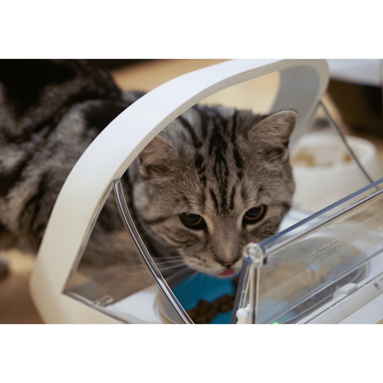 product_image_1761125960 Surefeed Microchip Pet Feeder, Smart Feeding Bowl for Dogs & Cats