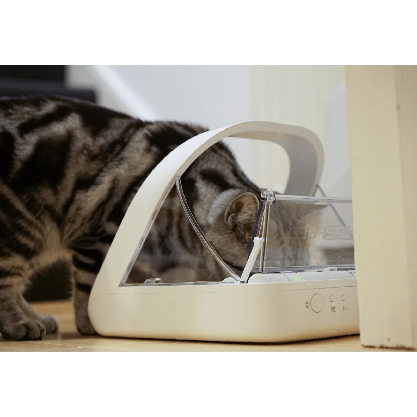 product_image_1761125972 Surefeed Microchip Pet Feeder, Smart Feeding Bowl for Dogs & Cats