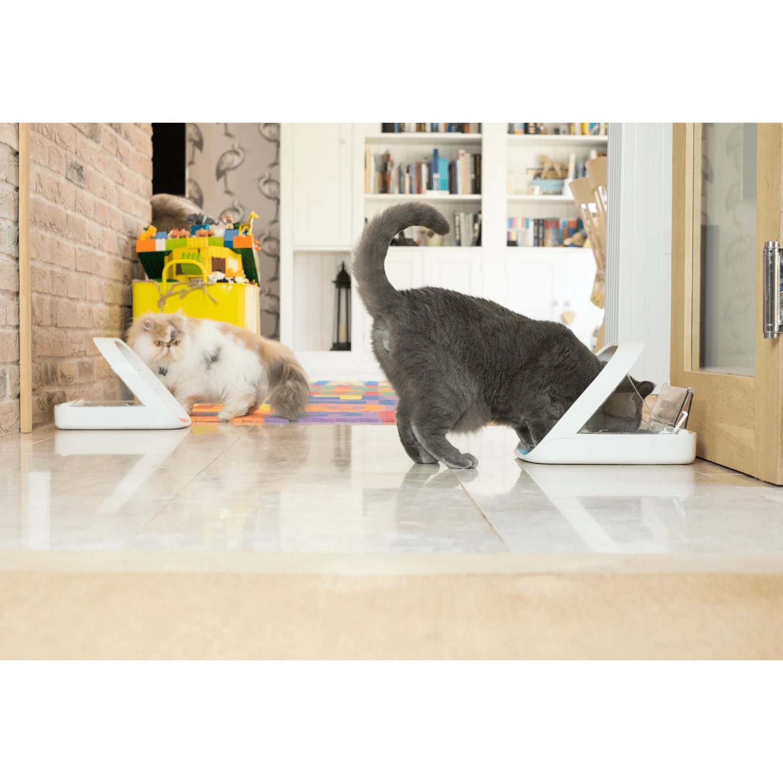 product_image_1761125982 Surefeed Microchip Pet Feeder, Smart Feeding Bowl for Dogs & Cats