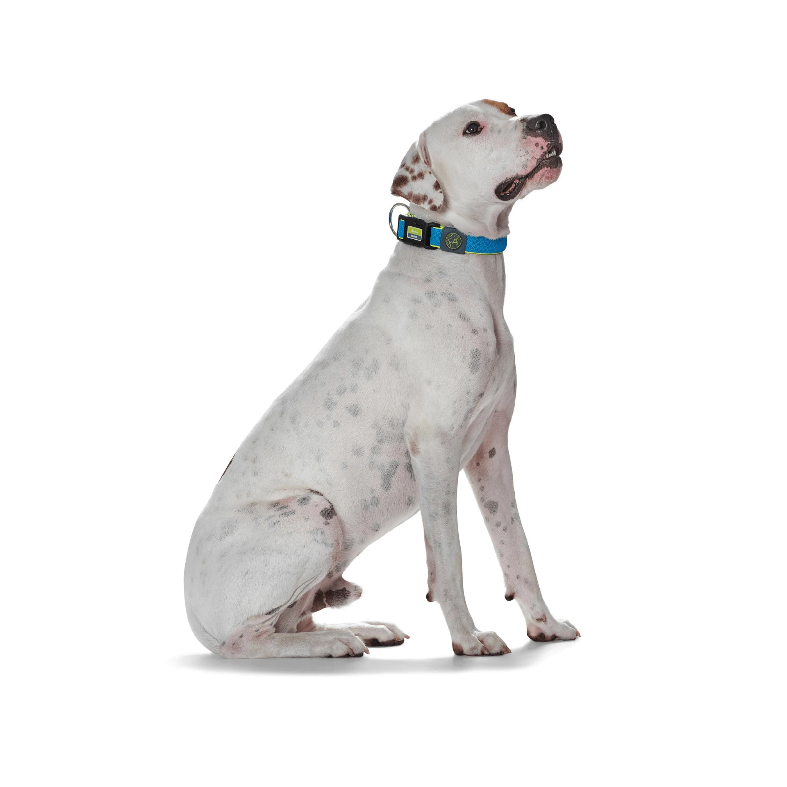 product_image_1761132099 Hunter Maui Vario Plus Dog Collar Heavy Duty Clasp Buckle