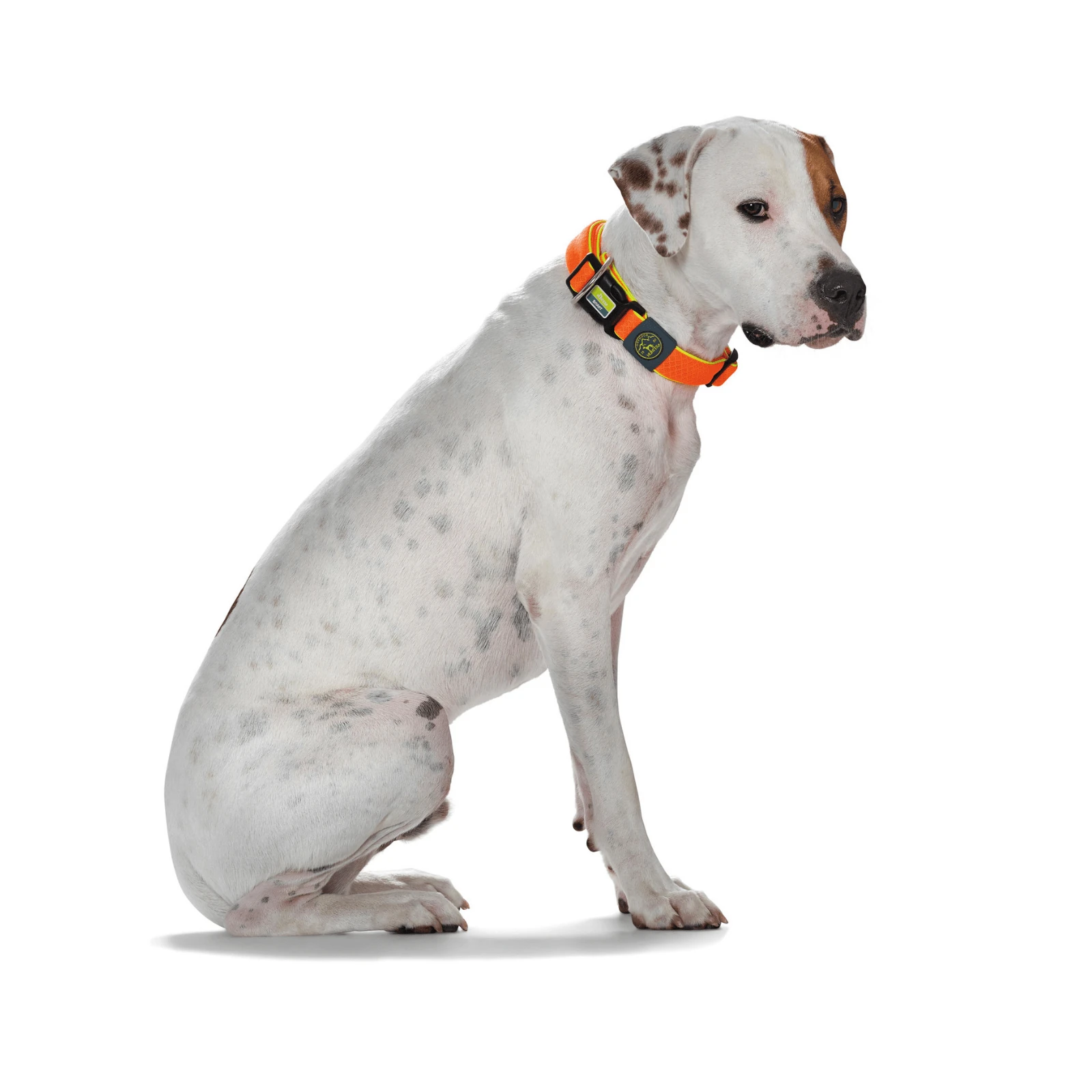 product_image_1761132117 Hunter Maui Vario Plus Dog Collar Heavy Duty Clasp Buckle