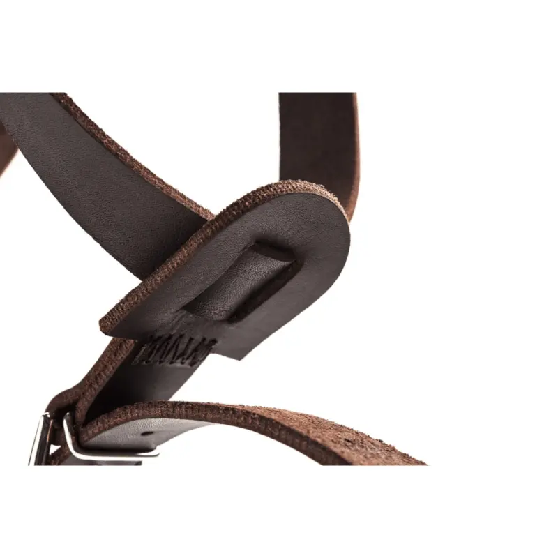 retractable dog lead for large dogs - Professional Guide and Review