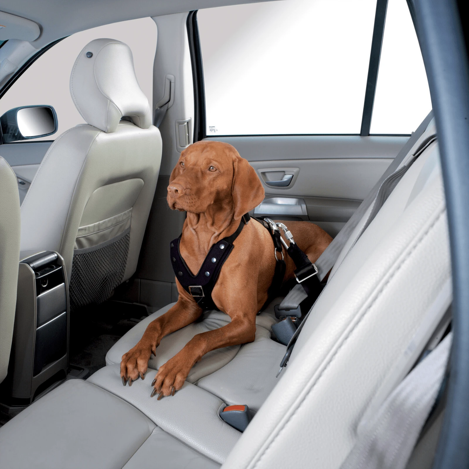 product_image_1761136781 Hunter Easy Comfort Dog Car Harness