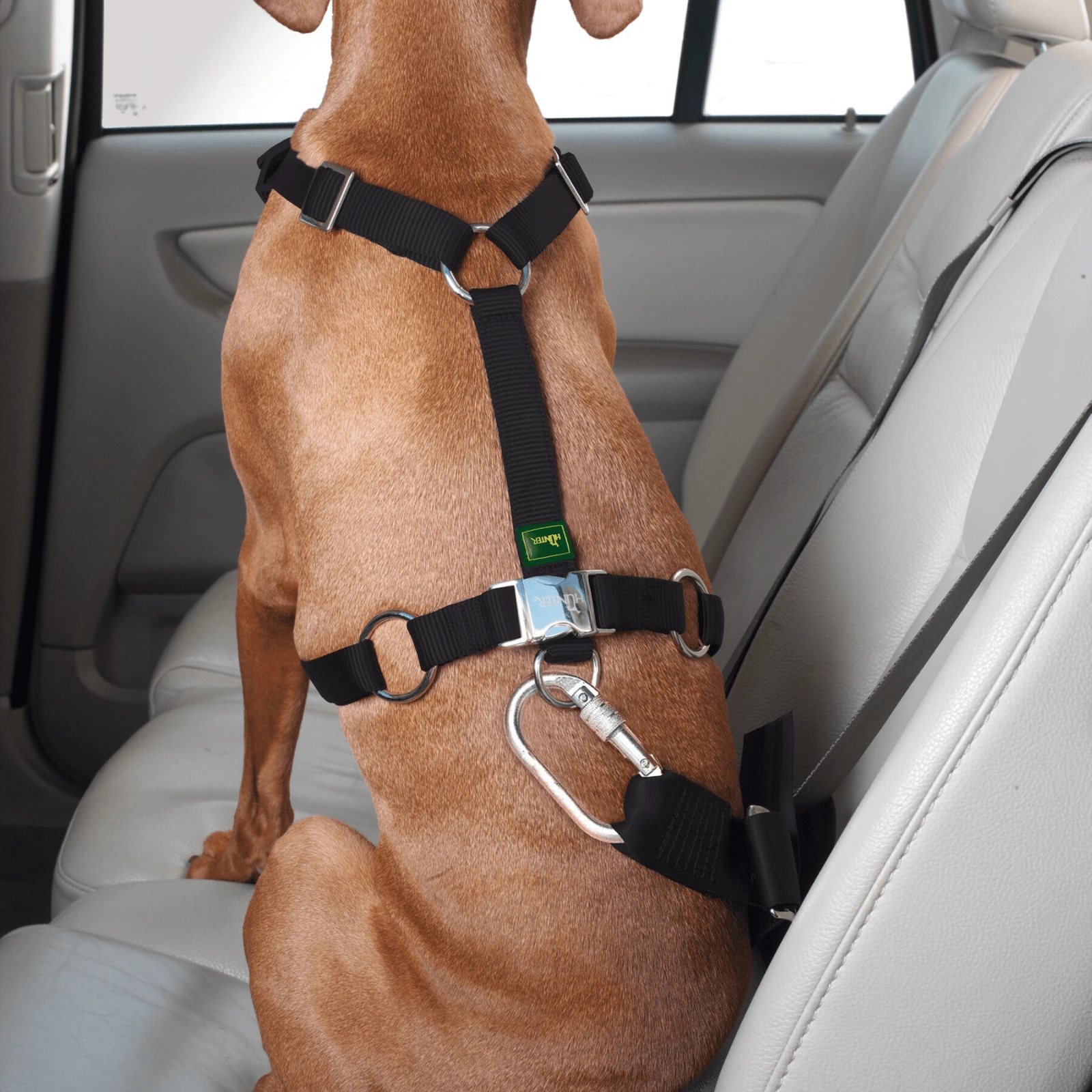 product_image_1761136788 Hunter Easy Comfort Dog Car Harness