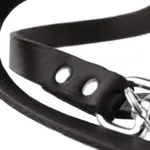Hunter Aalborg Leather Dog Training Lead