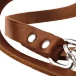 Hunter Aalborg Leather Dog Training Lead