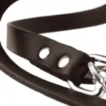Hunter Aalborg Leather Dog Training Lead