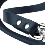 Hunter Aalborg Leather Dog Training Lead