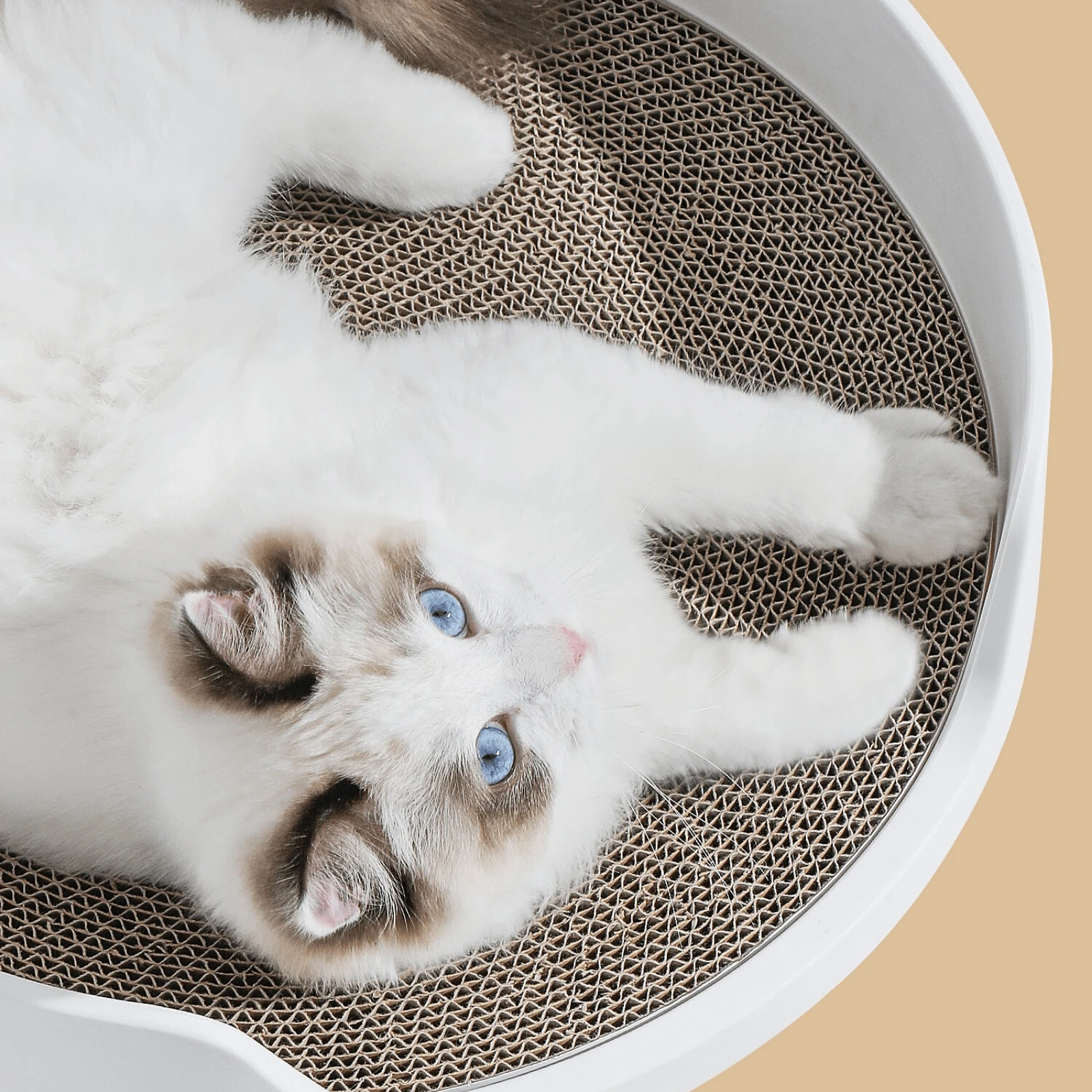 product_image_1761185128 Mayitwill Cat Castle Semi Closed Litter Box, White