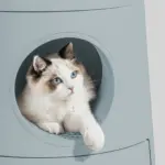 Mayitwill Cat Castle Semi Closed Litter Box, Morandi Green