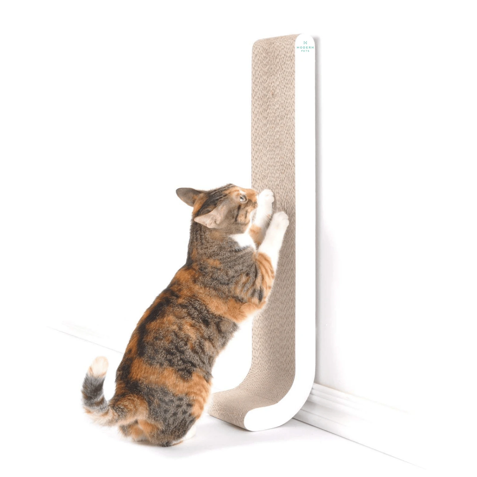 metal dog pen positioned near wall mounted cat scratch post setup
