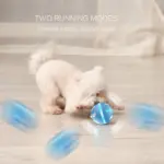 dog transport crate - Professional Guide and Review