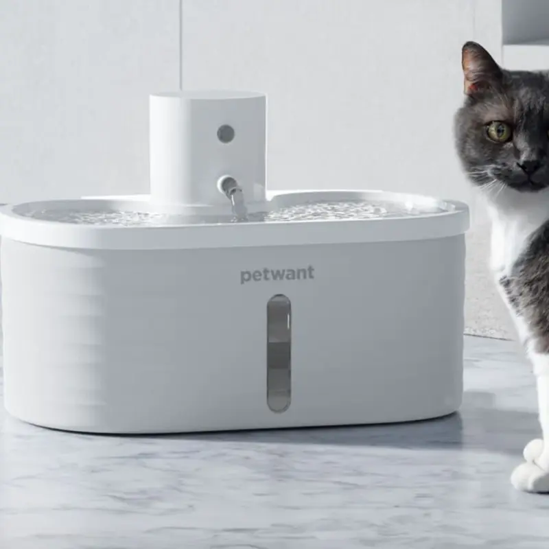 Cordless Sensor Pet Water Fountain, White