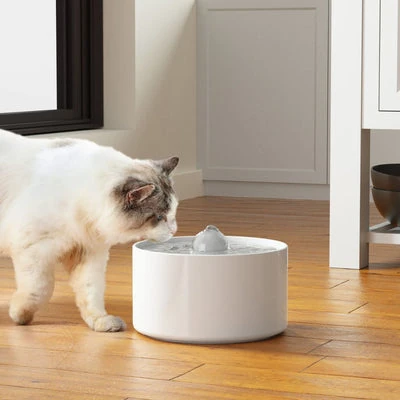 pw5-2_400x Ceraflow Ceramic Pet Drinking Fountain