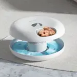 Petwant Automatic Wet Feeder Replacement Ice Blocks - 2 Pack