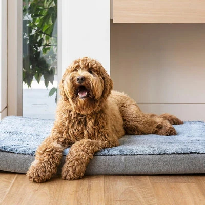 spgmatortaf-1_400x Orthopedic Calming Dog Mat Water Resistant, Artic Faux Fur