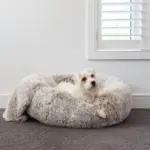 orthopedic bed and mattress - Professional Guide and Review