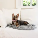 Calming Pet Blanket Water Resistant, Artic Faux Fur