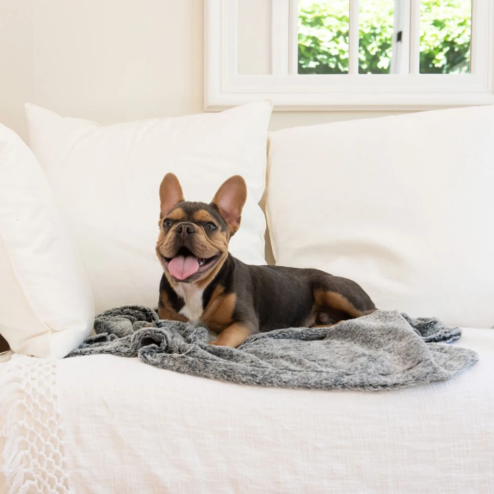 spgpbaf-2_2000x Calming Pet Blanket Water Resistant, Artic Faux Fur