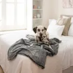 Calming Pet Blanket Water Resistant, Artic Faux Fur