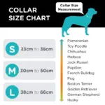 Woof Concept Dog Collar, Rove