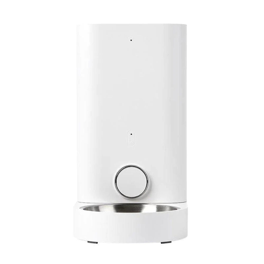 cat collar id tag positioned correctly on lounging tabby