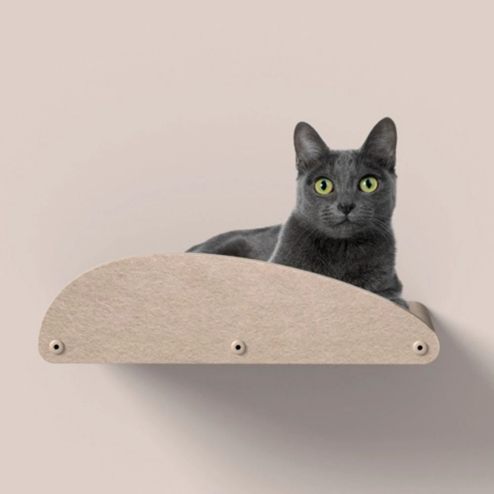 cat door replacement flap measuring guide for Australian homes